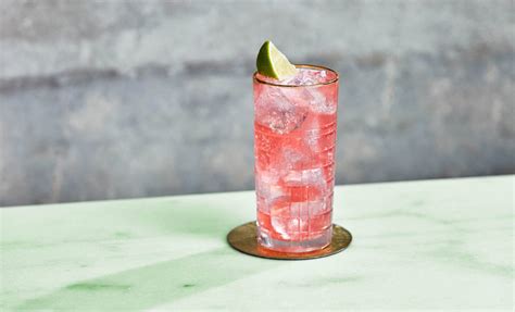 Cranberry, Lime & Lemonade | Recipes | Mathieu Teisseire