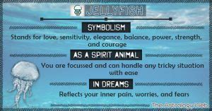 Jellyfish Meaning and Symbolism | The Astrology Web