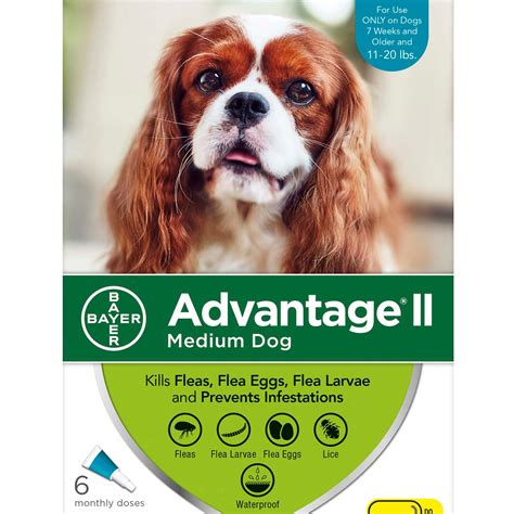 Advantage II Once-A-Month Topical Flea Treatment for Dogs & Puppies 11 to 20 lbs. | Petco Store