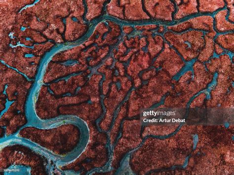 Beautiful Pattern Created By River Delta Taken From Above High-Res ...