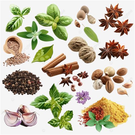 Spices And Herbs Realistic Set, Spices, Herbs, Curry PNG Transparent Image and Clipart for Free ...