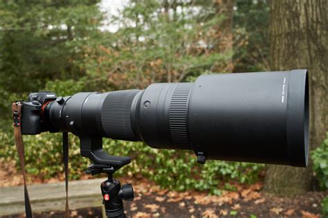 Review: Sigma 500mm f4 DG OS HSM Sports (Canon EF Mount)