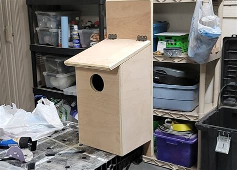 Eastern Screech Owl Nest Box : r/woodworking