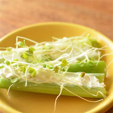 Celery with Cream Cheese and Sprouts - Super Healthy Kids