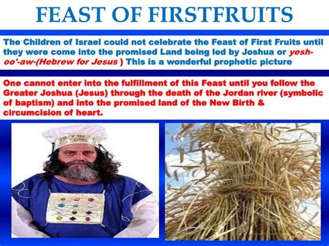 PPT - The Feast of First Fruits PowerPoint Presentation - ID:2626114