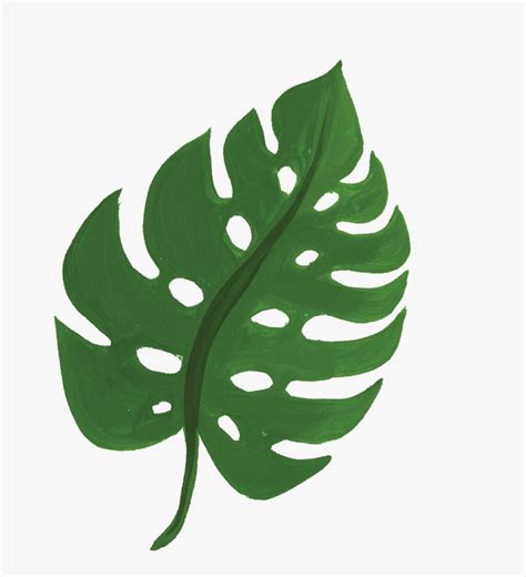 Animal Safari Leaf - Safari Leaves Clipart Png, Transparent Png - kindpng