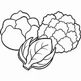 Cauliflower brussels sprouts Cabbage vegetables Outline coloring Book  sketch template