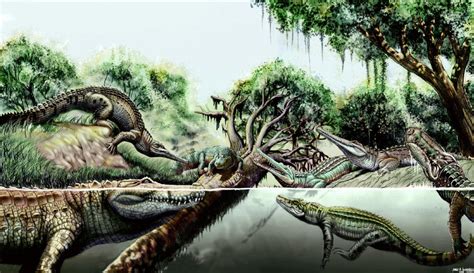 Crocodylomorpha | Dinopedia | Fandom