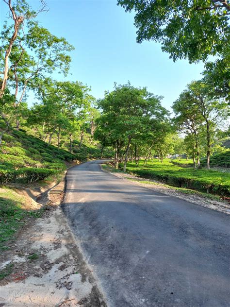 Exploring Sylhet: Where Natural Beauty Meets Cultural Splendor ...