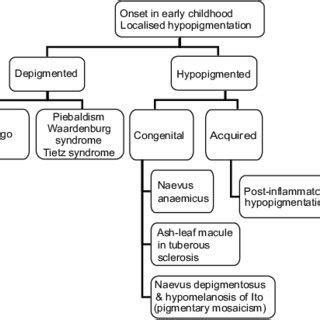 (PDF) A Practical Classification of Childhood Hypopigmentation Disorders