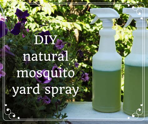 How to Make Homemade Organic Mosquito Yard Spray - Dengarden