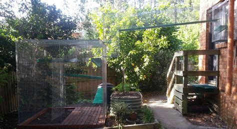 Cat Enclosures | Tunnels and Cat Proof Fencing Melbourne