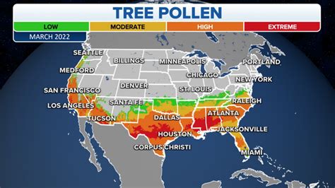 Pollen levels creep up as winter’s arctic blast becomes a distant memory | Fox Weather