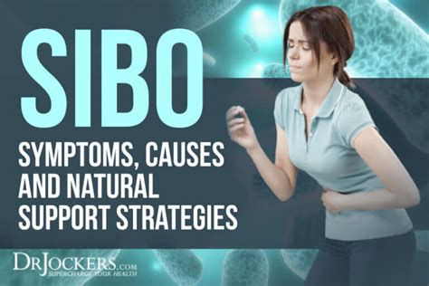 SIBO: Symptoms, Causes and Natural Support Strategies