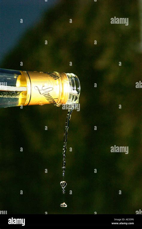 Bottle of Lambrini wine, night garden party Stock Photo - Alamy