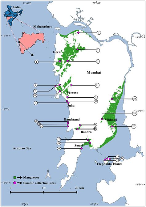 Map showing the study areas in mangrove ecosystem of Mumbai. Figure... | Download Scientific Diagram