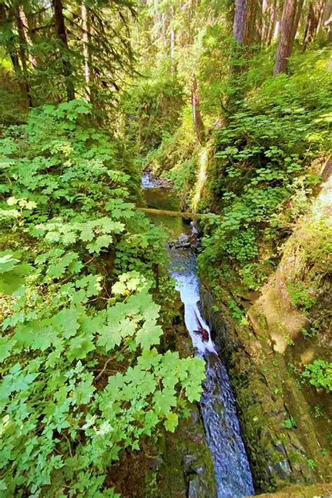 Sol Duc Falls Trail, Olympic National Park: Complete Guide