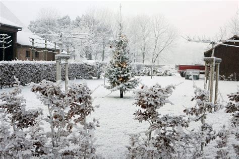 No white Christmas, but could Belgium see snow on New Year's?