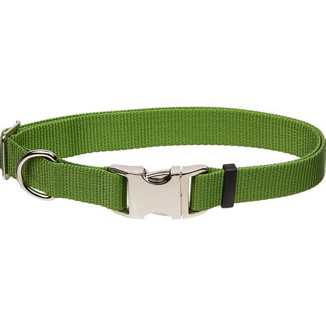 Coastal Pet Metal Buckle Nylon Adjustable Personalized Dog Collar in Palm Green | Petco