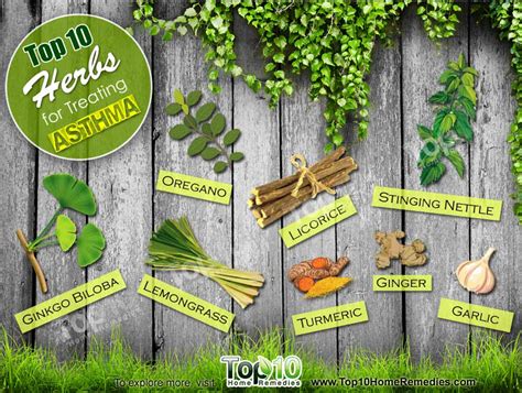 Top 10 Herbs for Treating Asthma | Top 10 Home Remedies