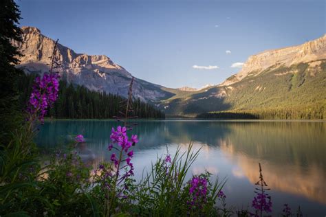 Emerald Lake in Canada: 20 Things to KNOW (Yoho, British Columbia)