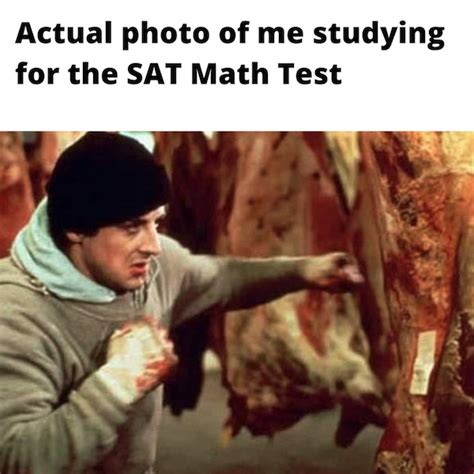 The 30 Best SAT Memes to Get You Through Test Prep · PrepScholar