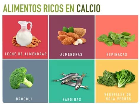 Alimentos ricos en calcio,hierro,ácido fólico y vitamina c. - scoopnest.com