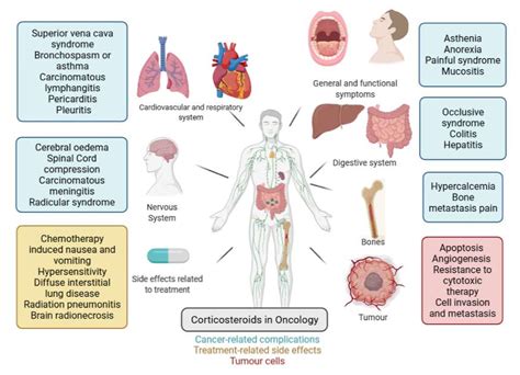 Cells | Free Full-Text | Impact of Glucocorticoid Use in Oncology in the Immunotherapy Era