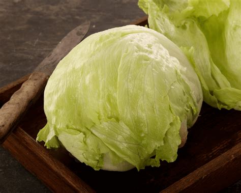 Lettuce - Iceberg