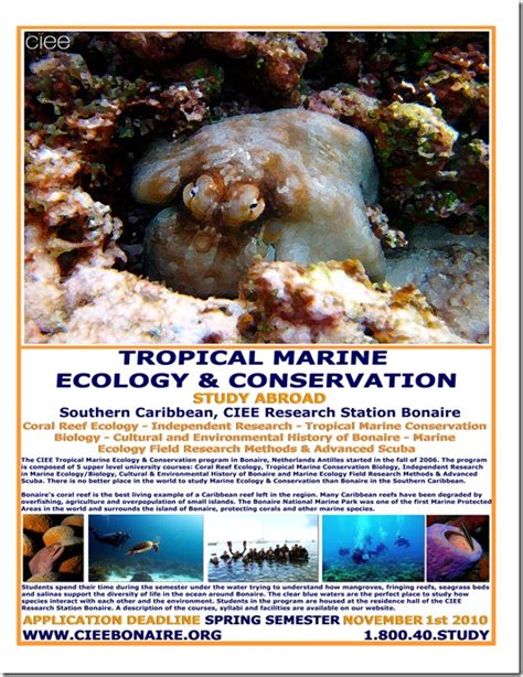 Tropical Marine Ecology & Conservation Study Abroad