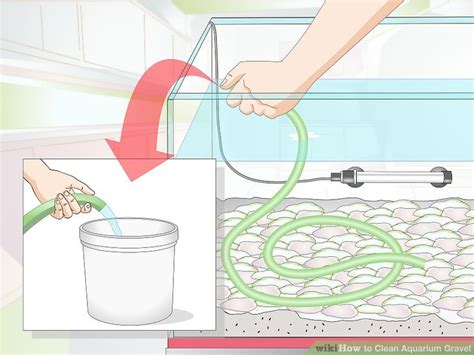 How to Clean Aquarium Gravel: A Complete Tutorial