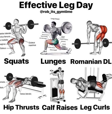 If there is one day that most people dread at the gym, it is leg day ...