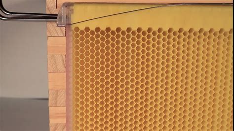 The Flow Hive Just Completely Revolutionized Beekeeping - SolidSmack