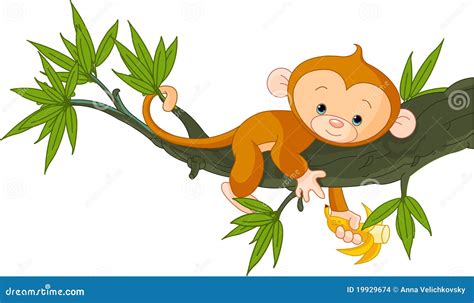 Baby Monkey On A Tree Stock Images - Image: 19929674