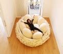 Giant Bird Nest Bed - Awesome Stuff 365