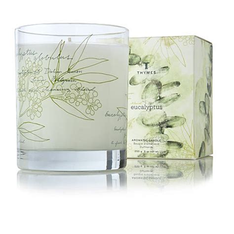 Thymes Eucalyptus Candle