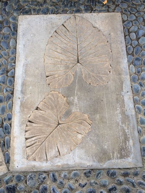 Stamped Concrete Leaf Pattern - Pattern.rjuuc.edu.np