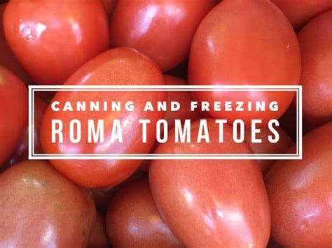 Preserving Roma Tomatoes: Canning and Freezing - Gardening Channel