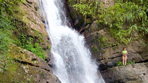 El Yunque National Forest, PR holiday rentals: houses & more | Vrbo