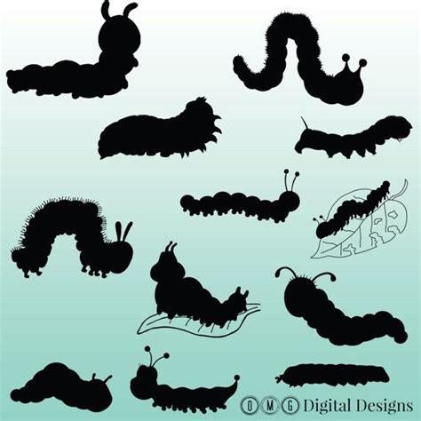 12 Caterpillar Silhouette Digital Clipart by OMGDIGITALDESIGNS ...