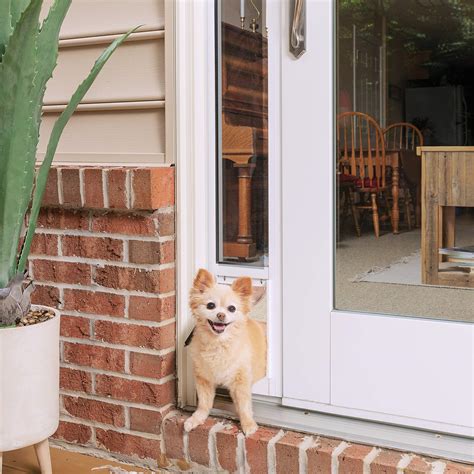 Buy PetSafe Sliding Glass Pet Doors - Extreme Weather Door or 2-Piece Standard Door - Cat or Dog ...