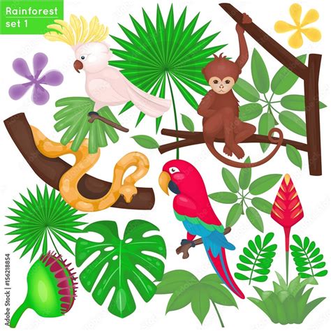 Rainforest and jungle life set. Tropical animals and plants. Vector illustration. Cartoon style ...