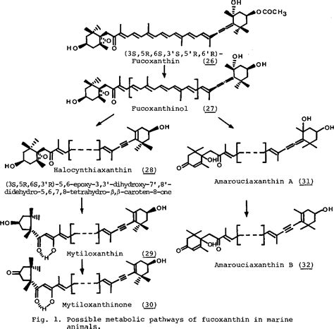 Figure 1 from New structures of carotenoids in marine animals ...