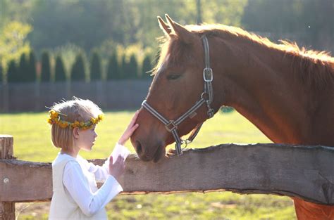 Virtual Energy Field Communication Between Horse & Human - - The Northwest Horse Source