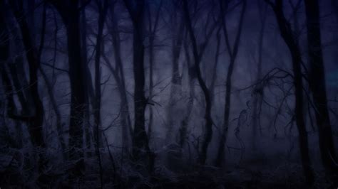 Creepy Forest Wallpapers - 4k, HD Creepy Forest Backgrounds on WallpaperBat