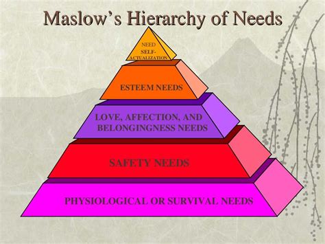 Maslow Hierarchy Of Needs | Maslow's hierarchy of needs, Advanced practice nurse, Nursing theory