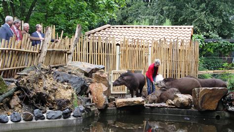 Zoo Osnabrück eröffnet vergrößtere Außenanlage für südamerikanische Vierer-WG | Parkerlebnis.de