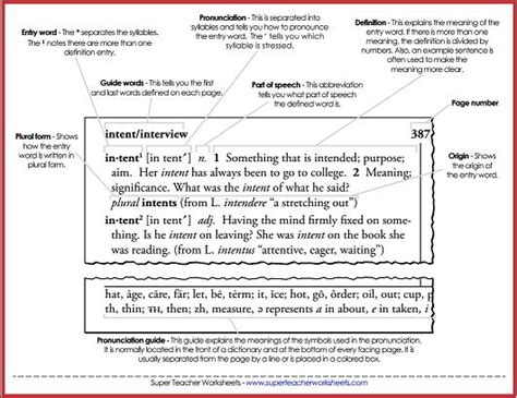 Parts Of The Dictionary Worksheets