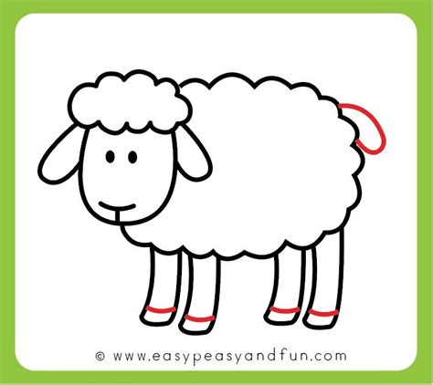 How to Draw a Sheep - Step by Step Sheep Drawing Tutorial | Sheep drawing, Bunny coloring pages ...