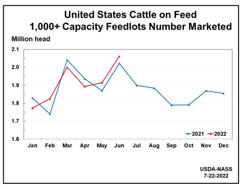 National Beef Wire | Cattle On Feed | Cattle and calves on feed for